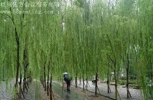 柳浪聞鶯_柳浪聞鶯旅游活動(dòng)策劃咨詢-杭州伍方會議服務(wù)有限公司