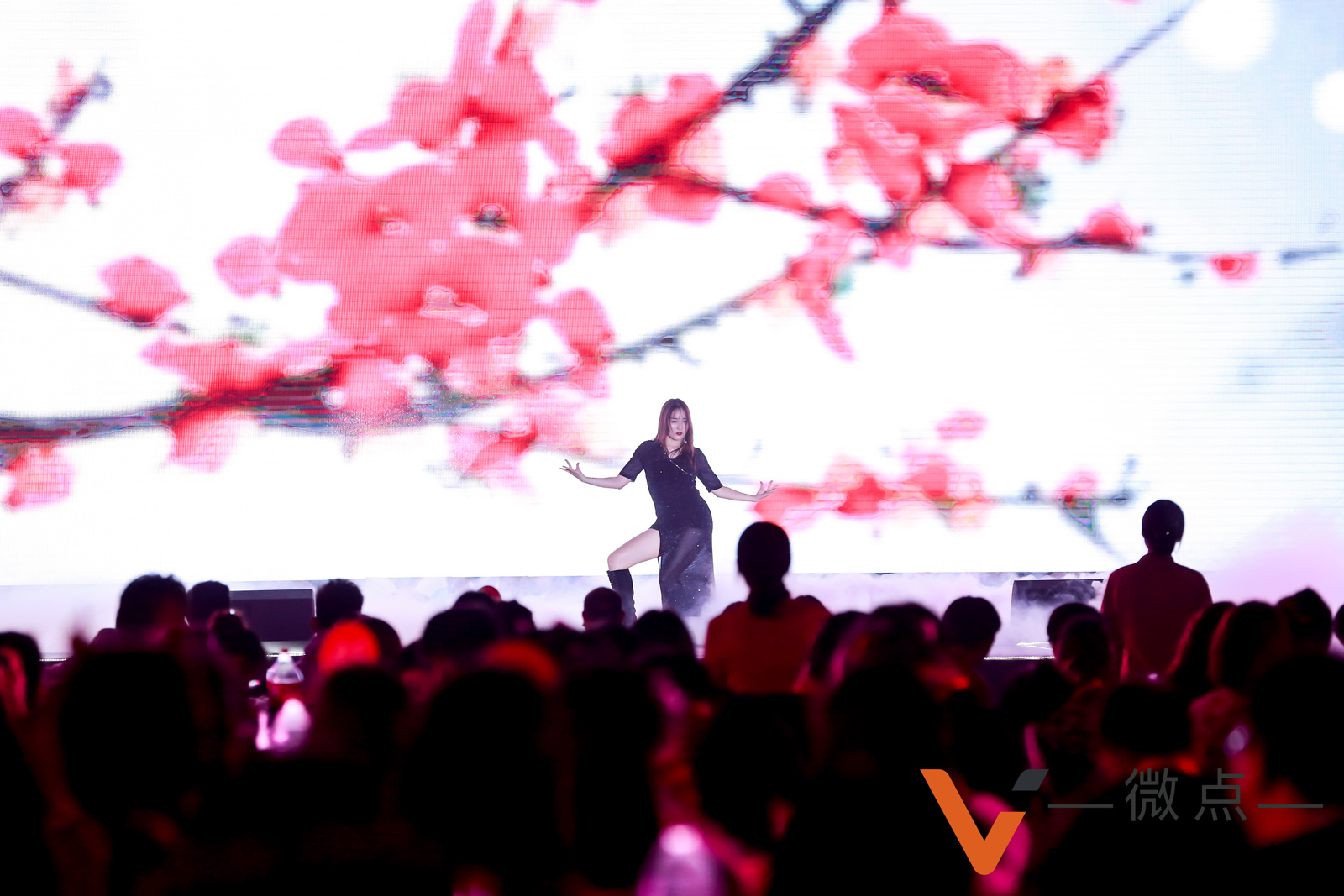 微點網(wǎng)絡(luò)公司年會性感熱舞表演