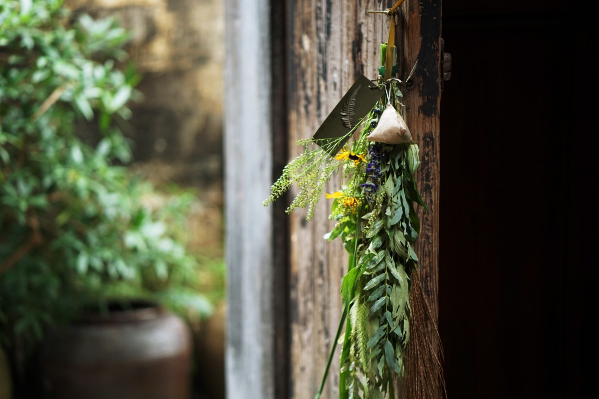 端午節(jié)采摘艾草、掛艾草習(xí)俗